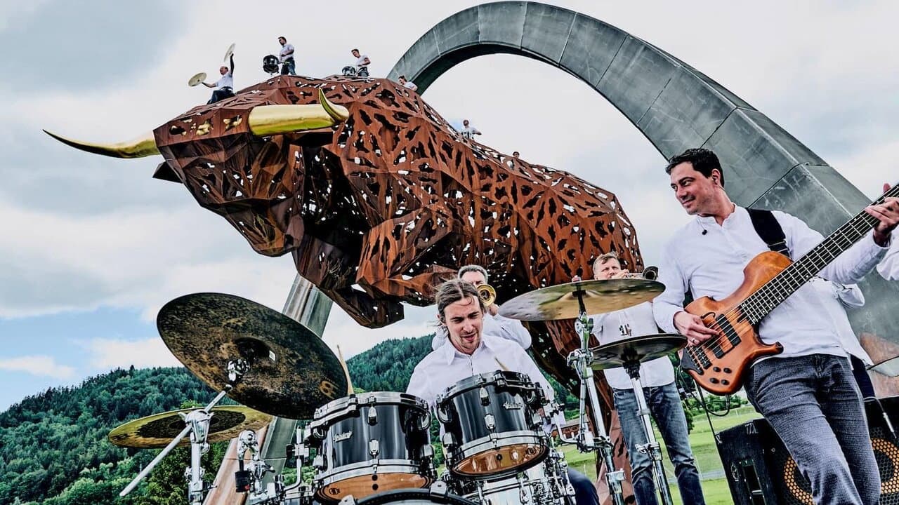 Backdrop – Drum The Bull