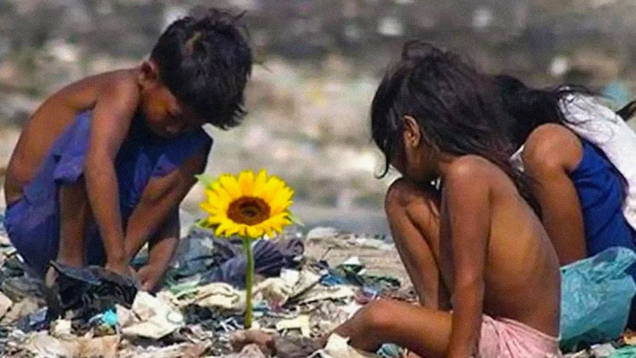 Backdrop – Insel der Blumen