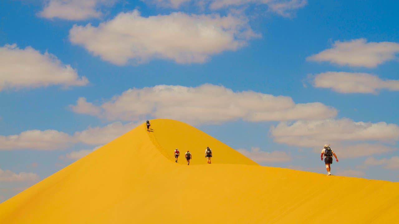 Backdrop – Desert Runners