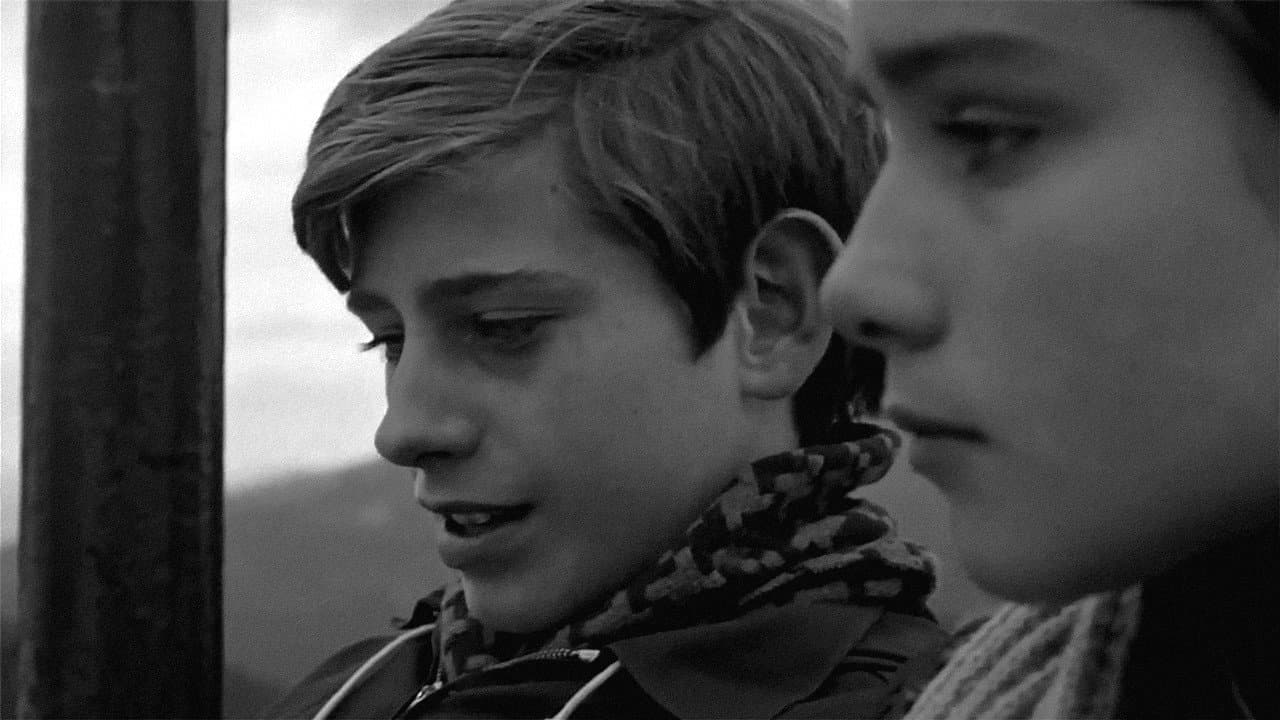 Backdrop – Adiós, cigüeña, adiós