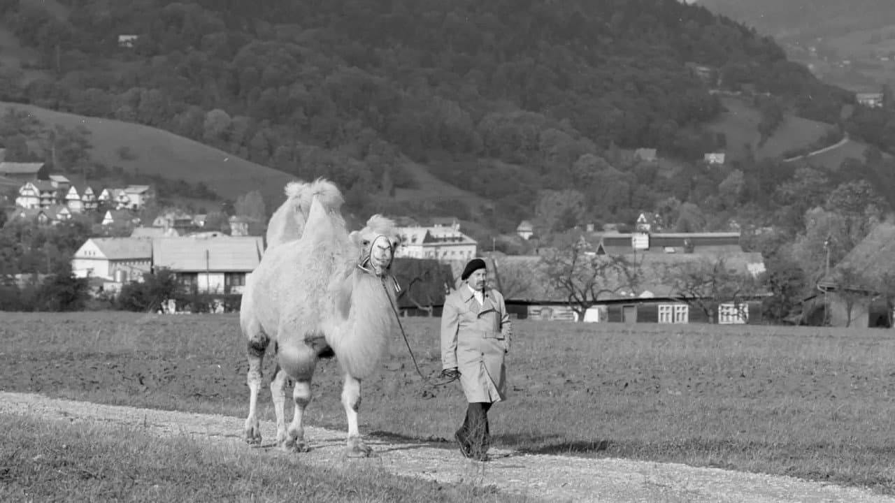 Backdrop – Das große Tier