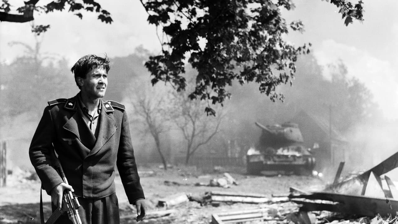 Backdrop – Die Abenteuer des Werner Holt