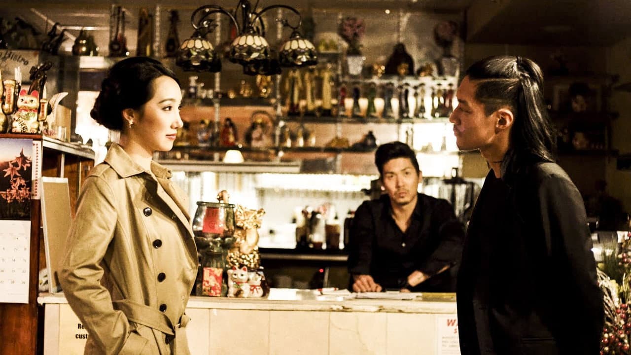 Backdrop – Midnight Glance