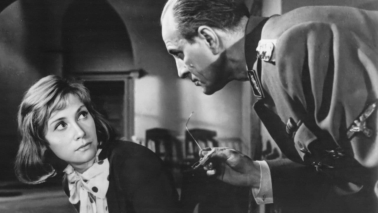 Backdrop – Их знали только в лицо