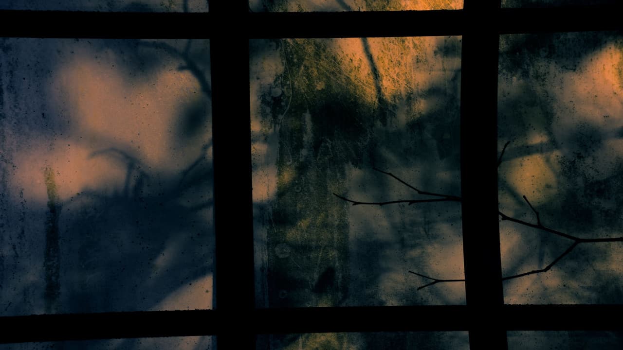 Backdrop – Twilight
