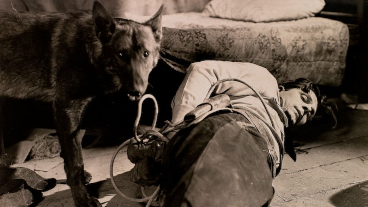 Backdrop – Fangs of Destiny