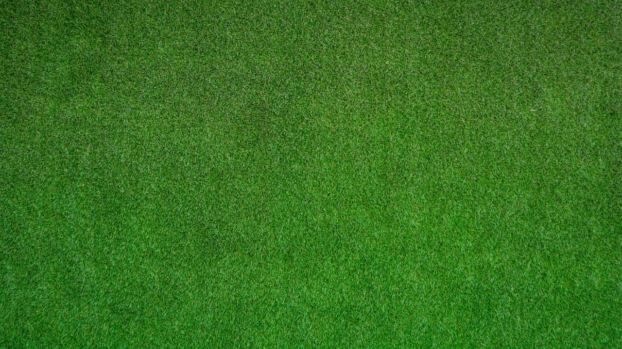 Backdrop – The Mulligan's Island Invitational