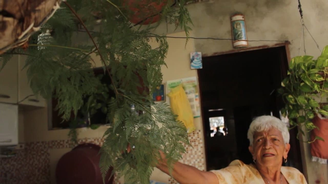 Backdrop – Curas da Terra