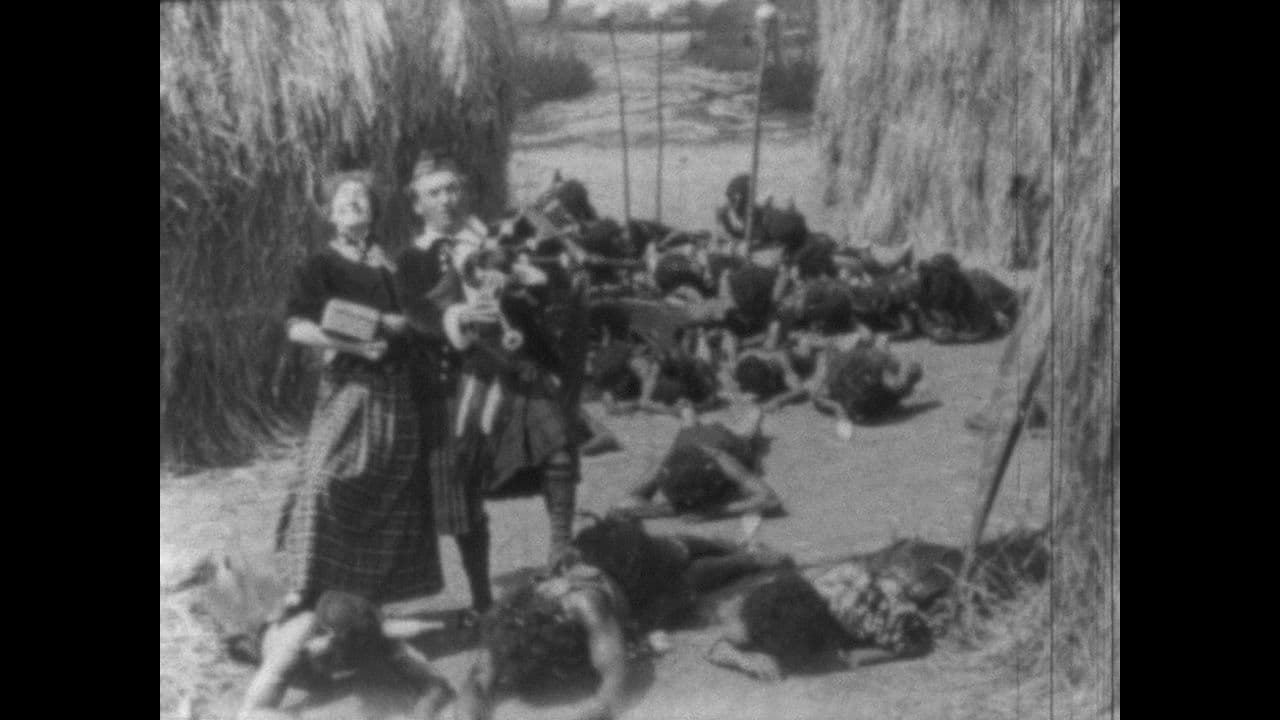 Backdrop – The Unusual Honeymoon