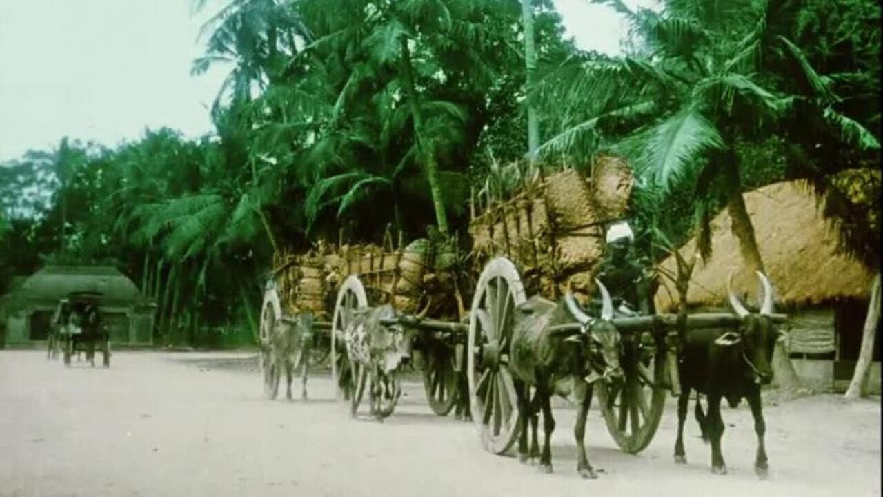 Backdrop – Villenour (French India: Territory of Pondicherry)
