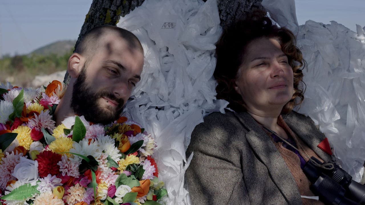 Backdrop – Boswellia sacra