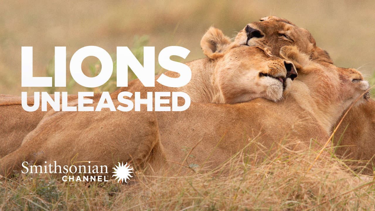 Backdrop – Lions Unleashed