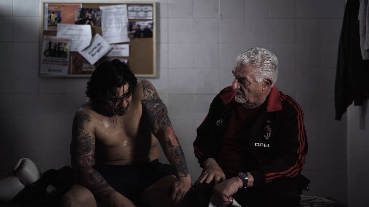 Backdrop – El Halcón