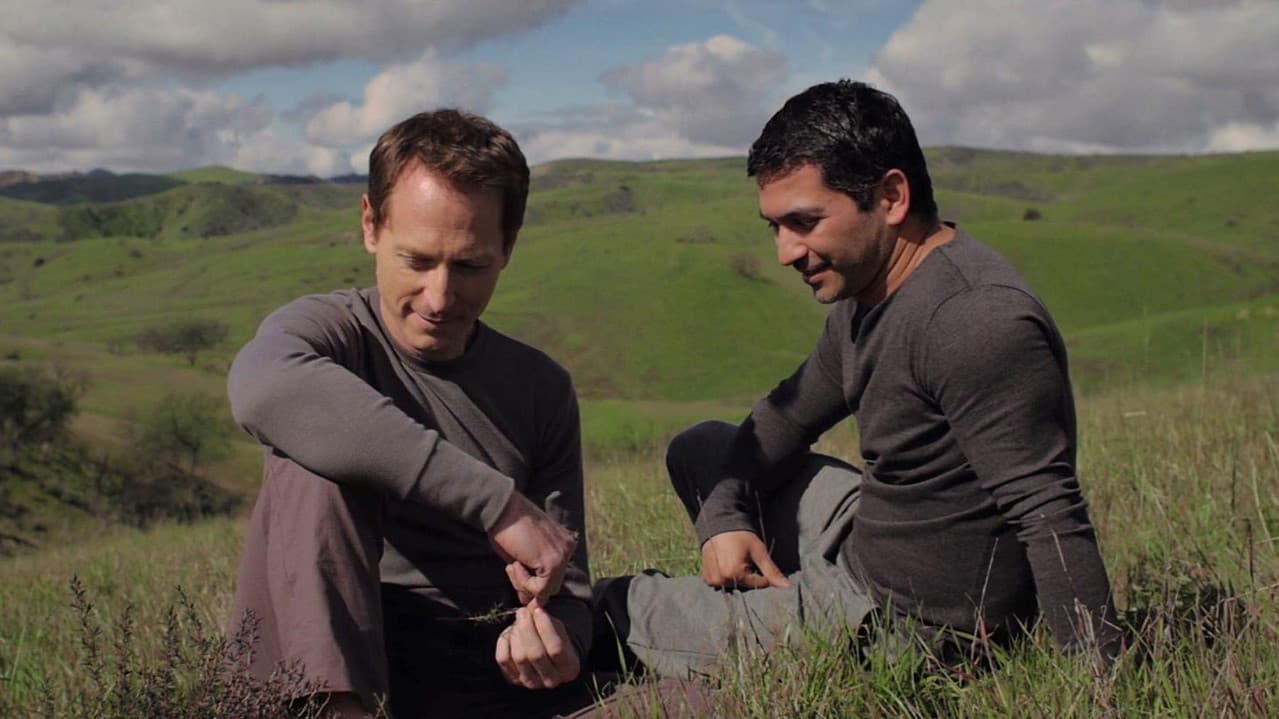 Backdrop – Contact