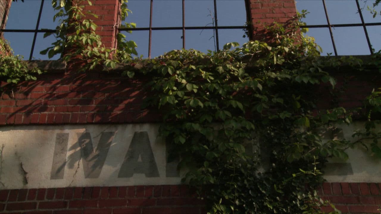 Backdrop – The Curse and the Jubilee