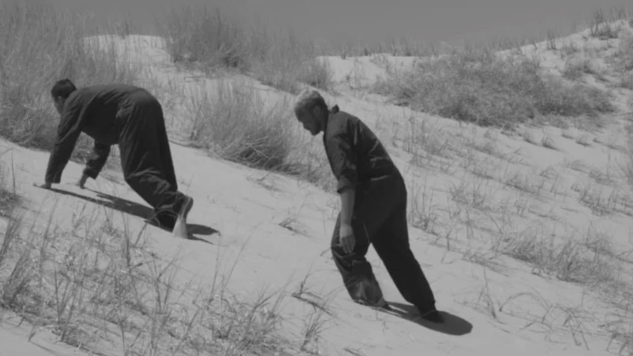 Backdrop – Beachworld