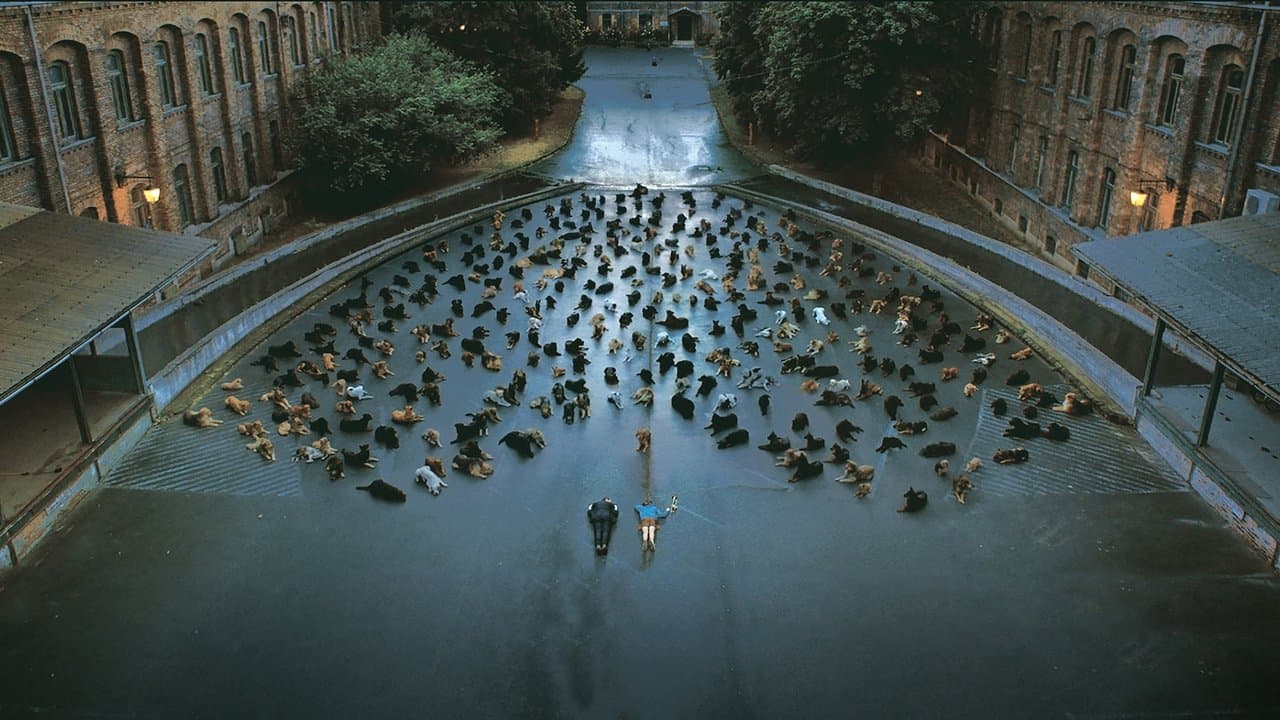 Backdrop – Underdog