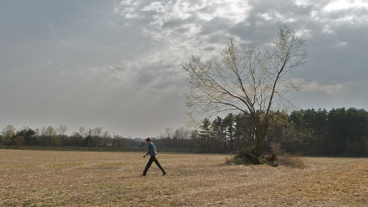 Backdrop – Son of the Sunshine