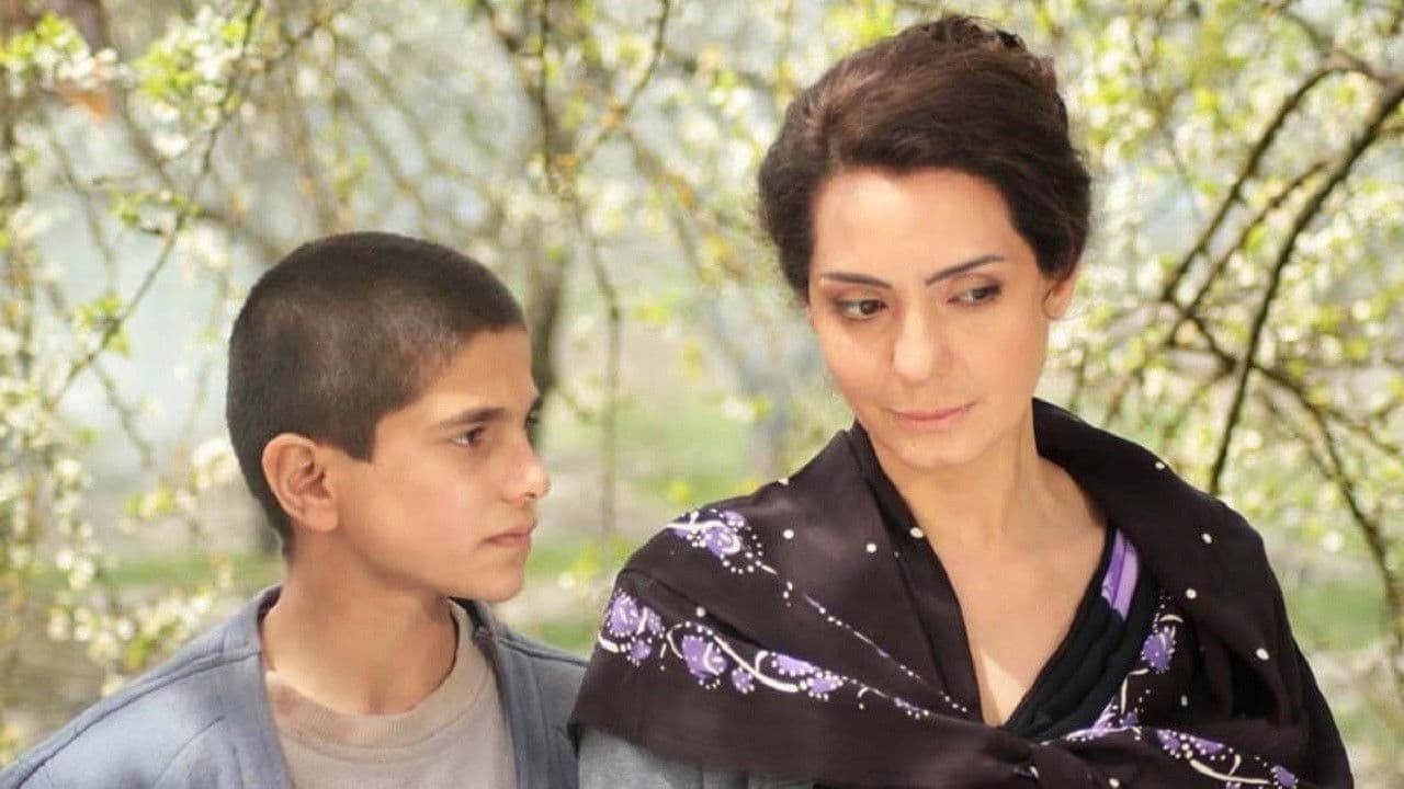 Backdrop – Qırmızı bağ