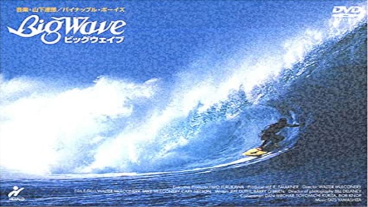 Backdrop – Big Wave
