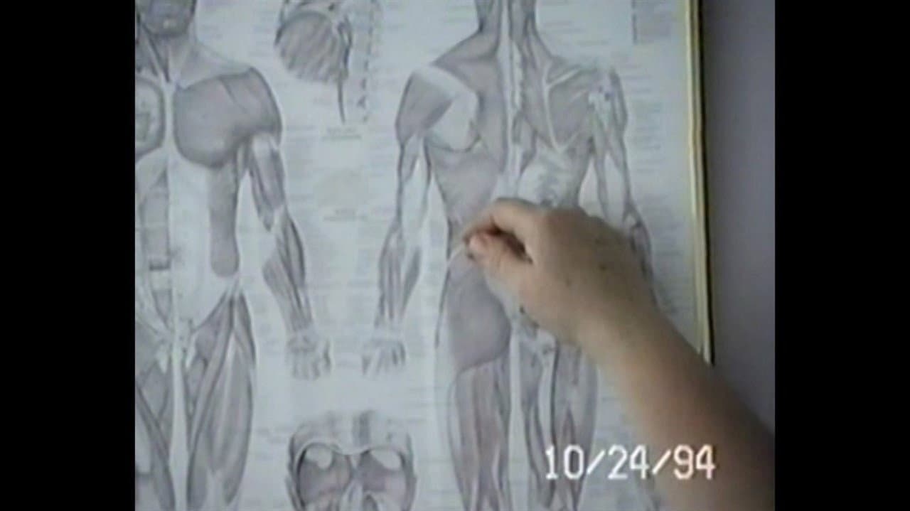 Backdrop – Cabbage