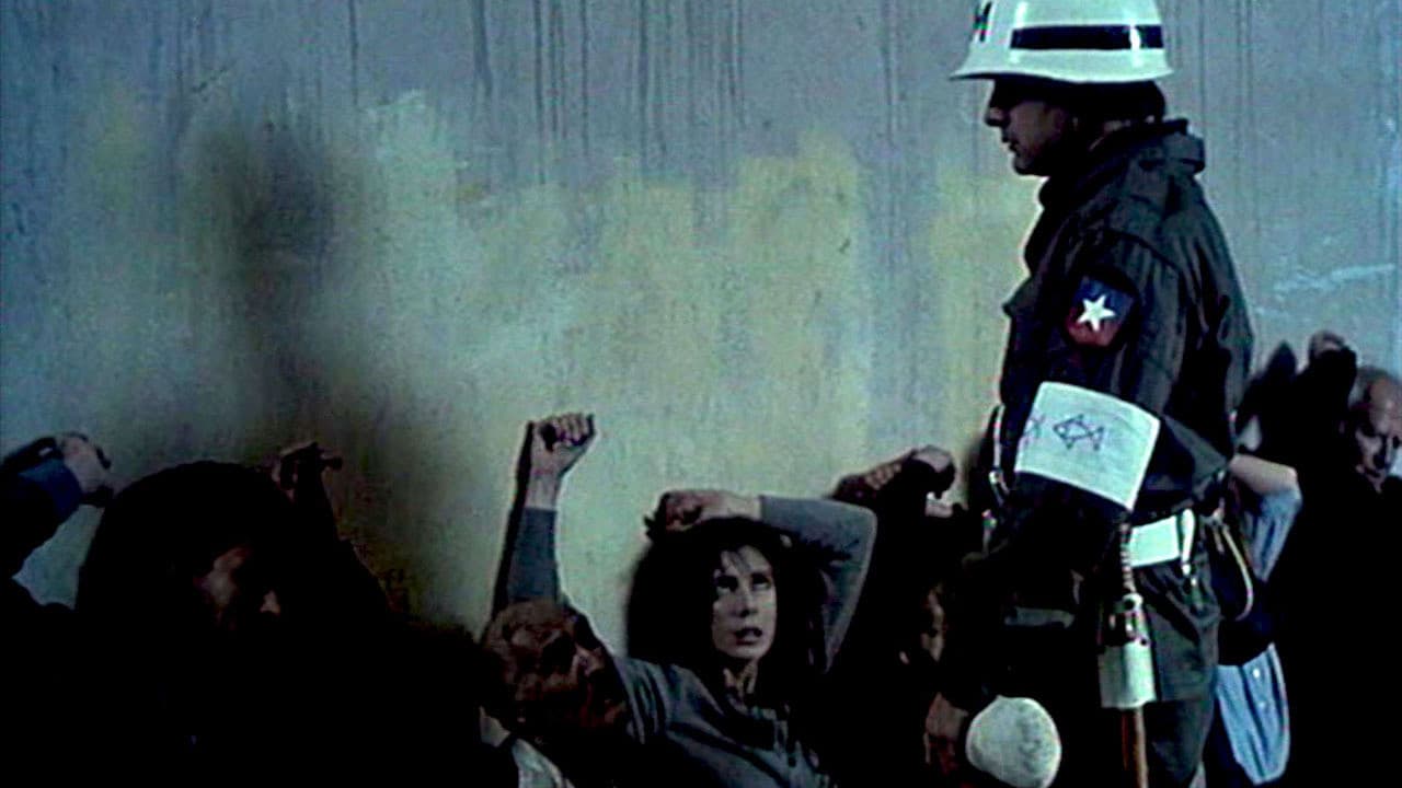 Backdrop – Sweet Country