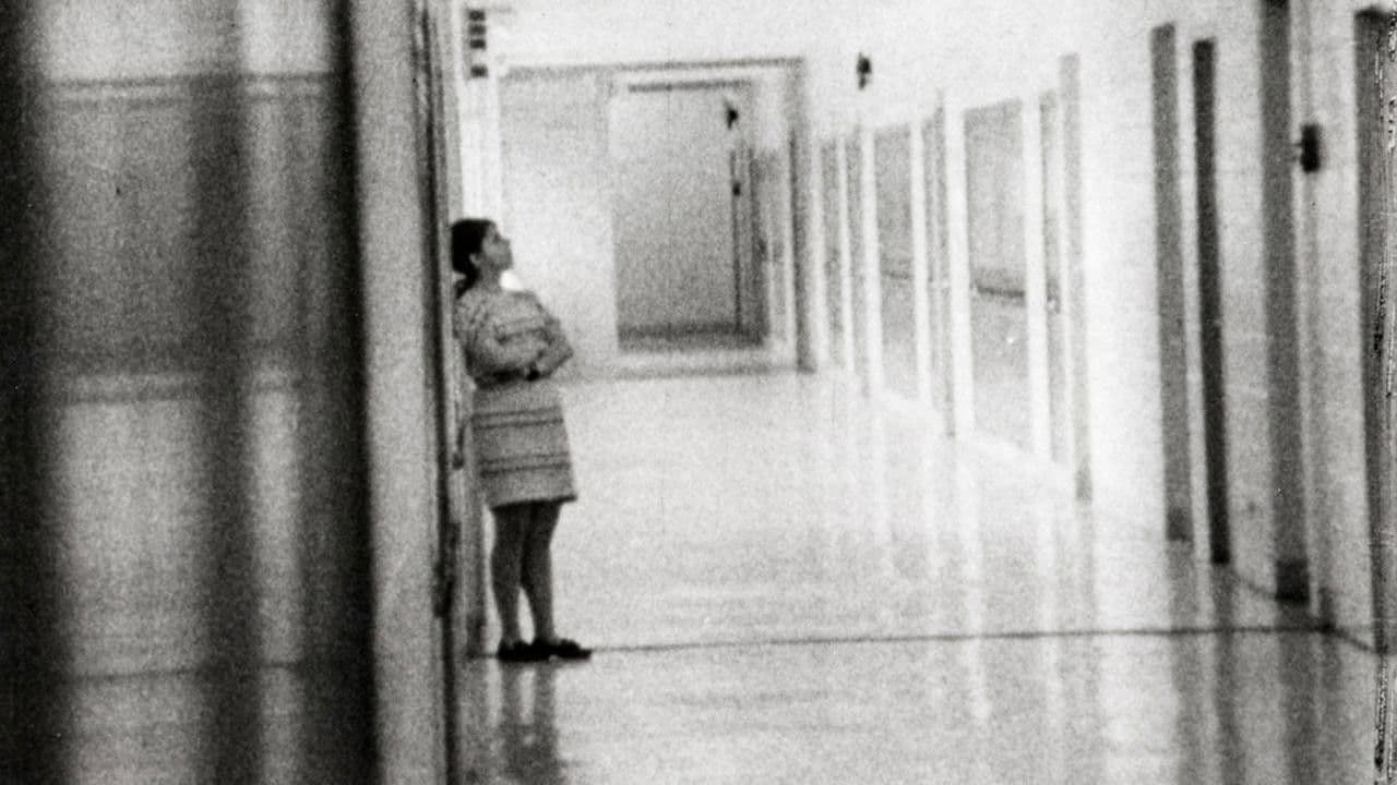 Backdrop – High School