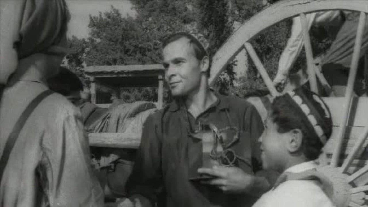 Backdrop – Хасан Арбакеш