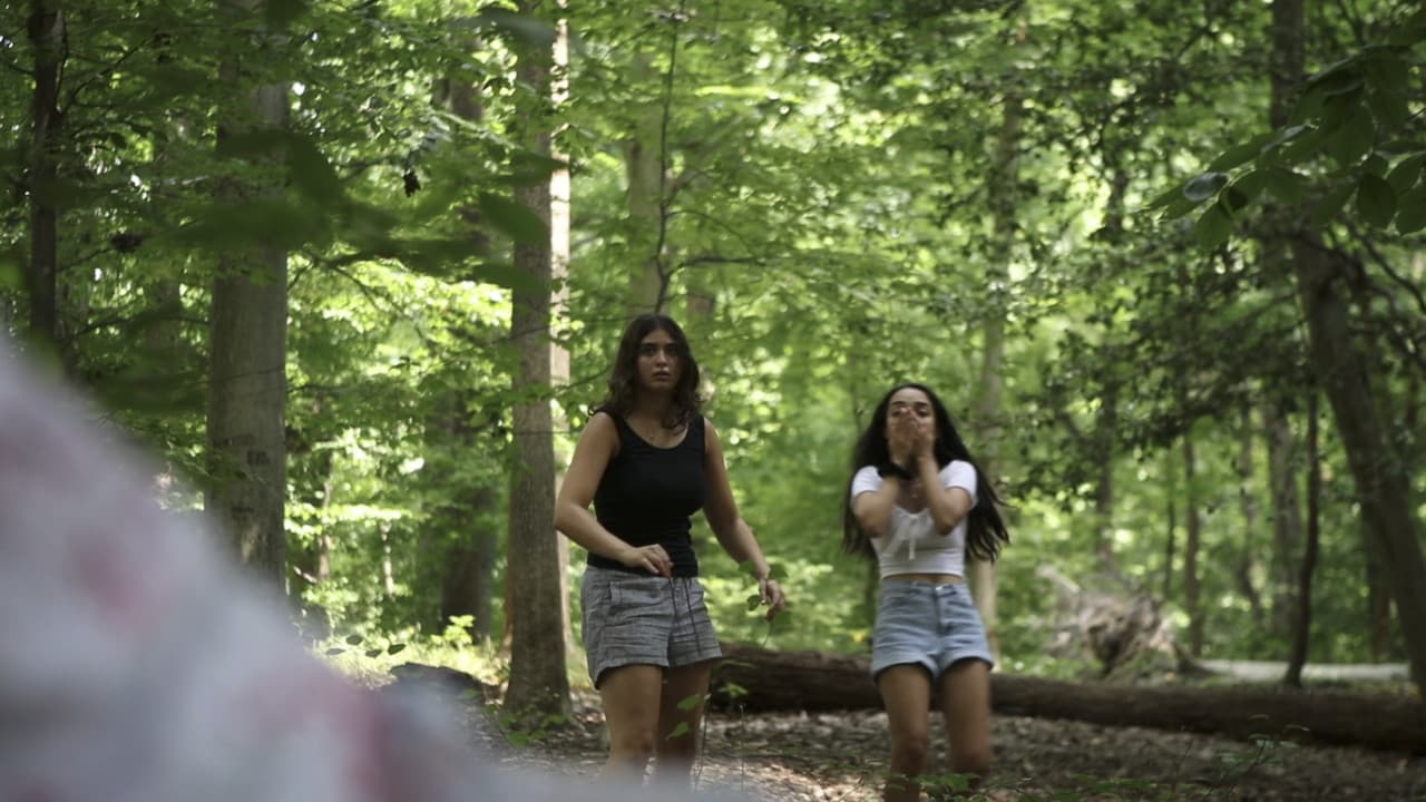 Backdrop – InDIEpendence Day