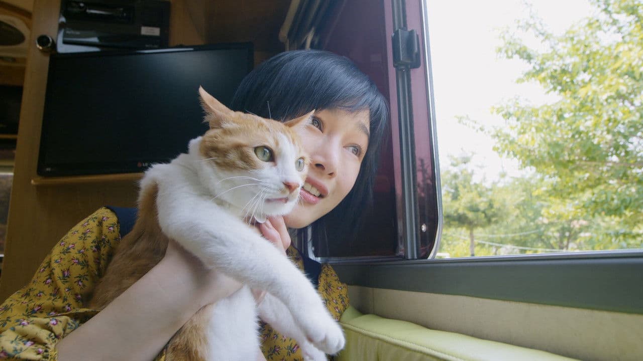 Backdrop – 오늘도 위위