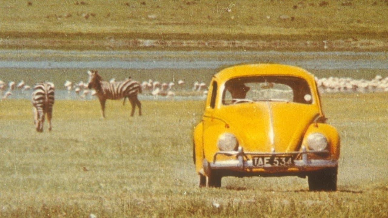 Backdrop – Ein Käfer geht auf's Ganze