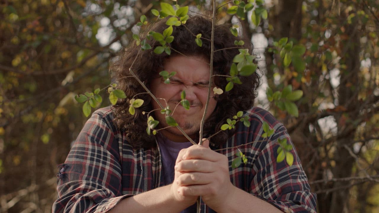 Backdrop – Money Tree