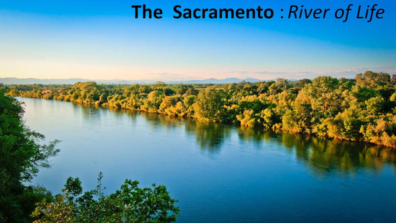 Backdrop – The Sacramento River of Life