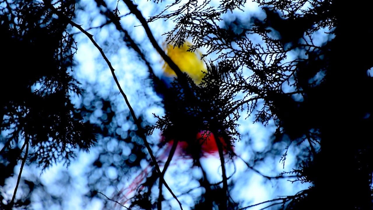Backdrop – Mérida, Tiempo y Naufragio.