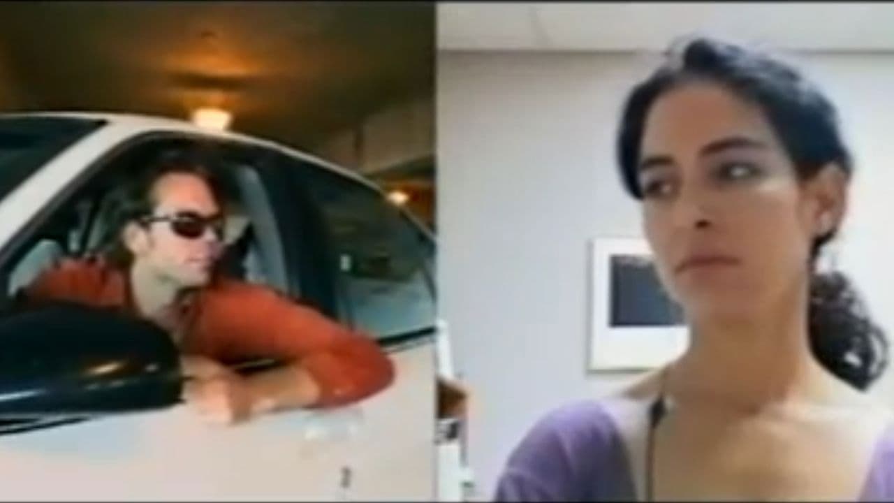 Backdrop – Analog Roam