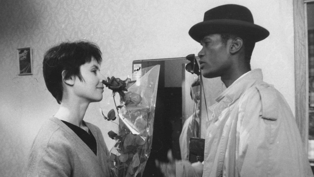 Backdrop – Октябрь