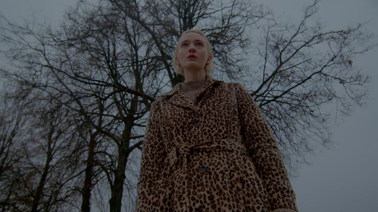 Backdrop – Камни