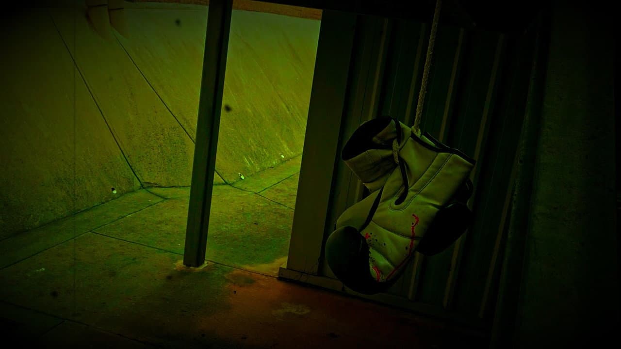 Backdrop – Trapped In Sight