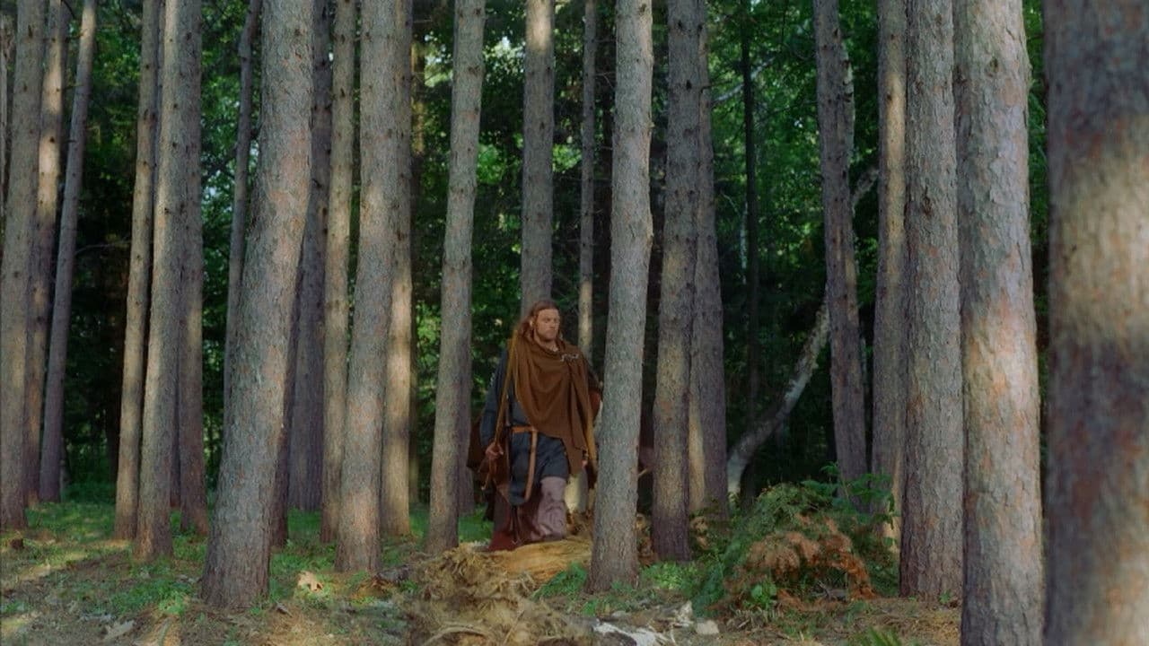 Backdrop – Vikings: Journey to New Worlds