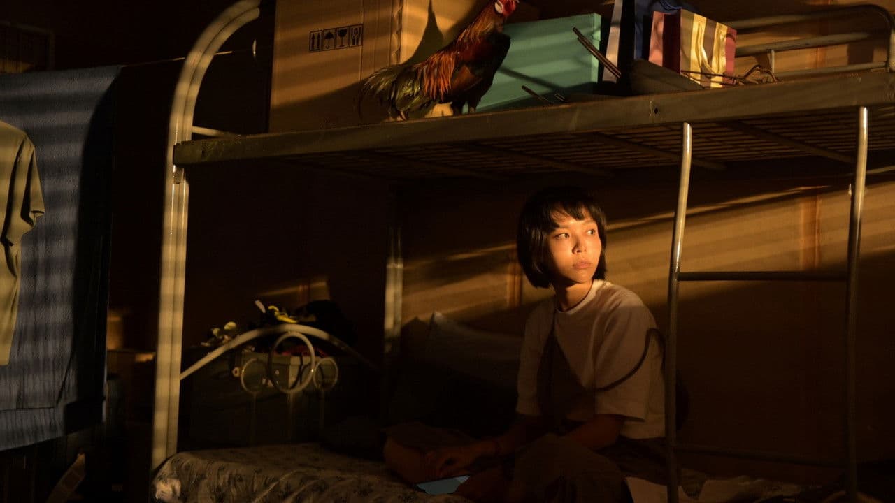 Backdrop – Look At Me Touch Me Kiss Me