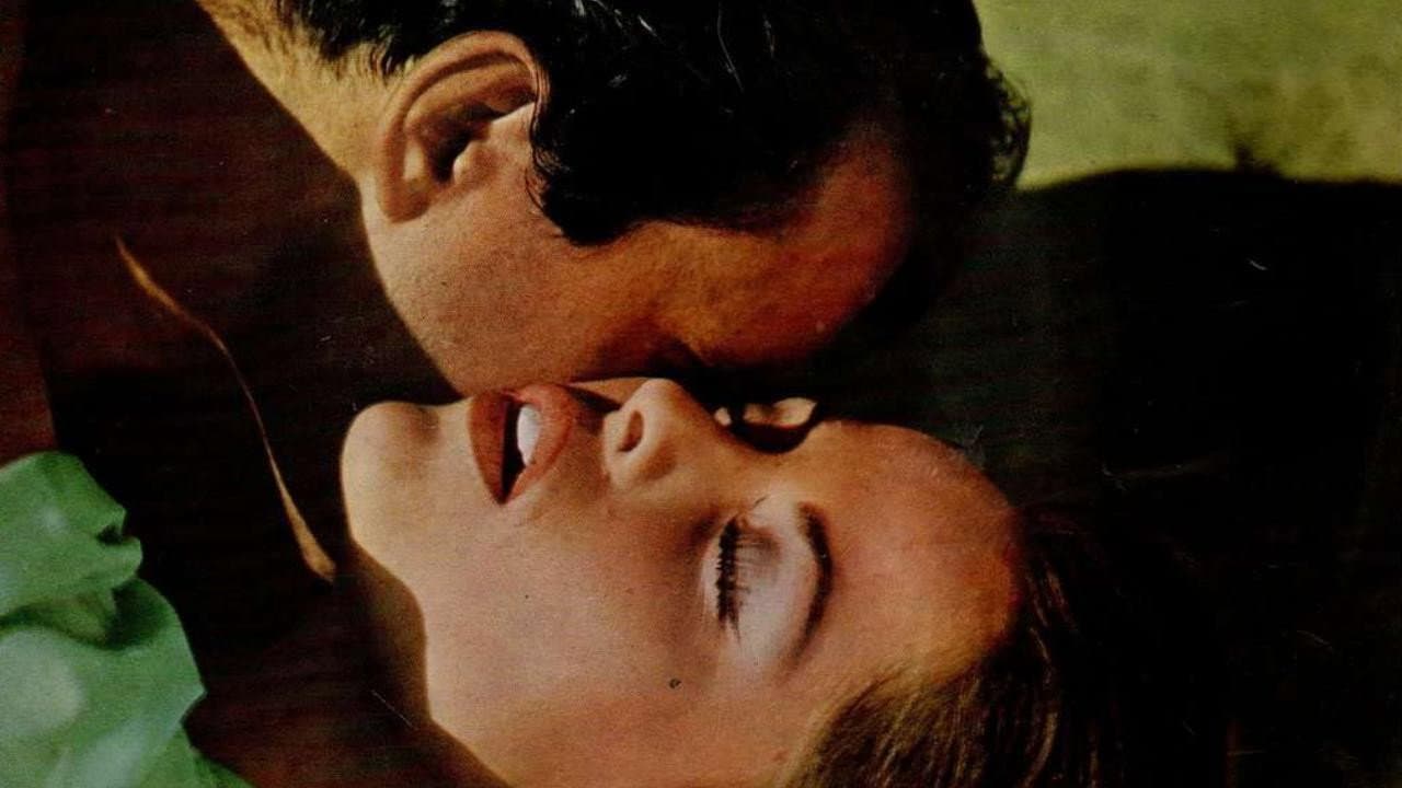 Backdrop – L'Amérique insolite