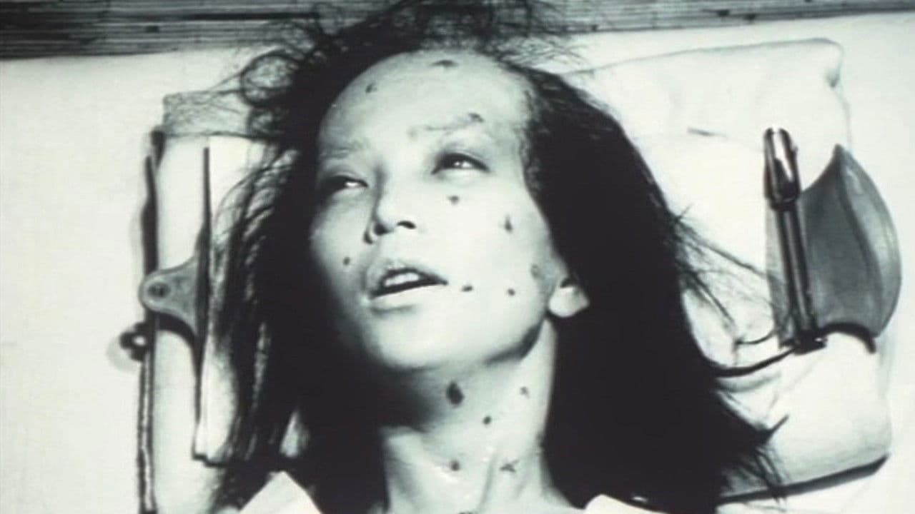 Backdrop – さくら隊散る