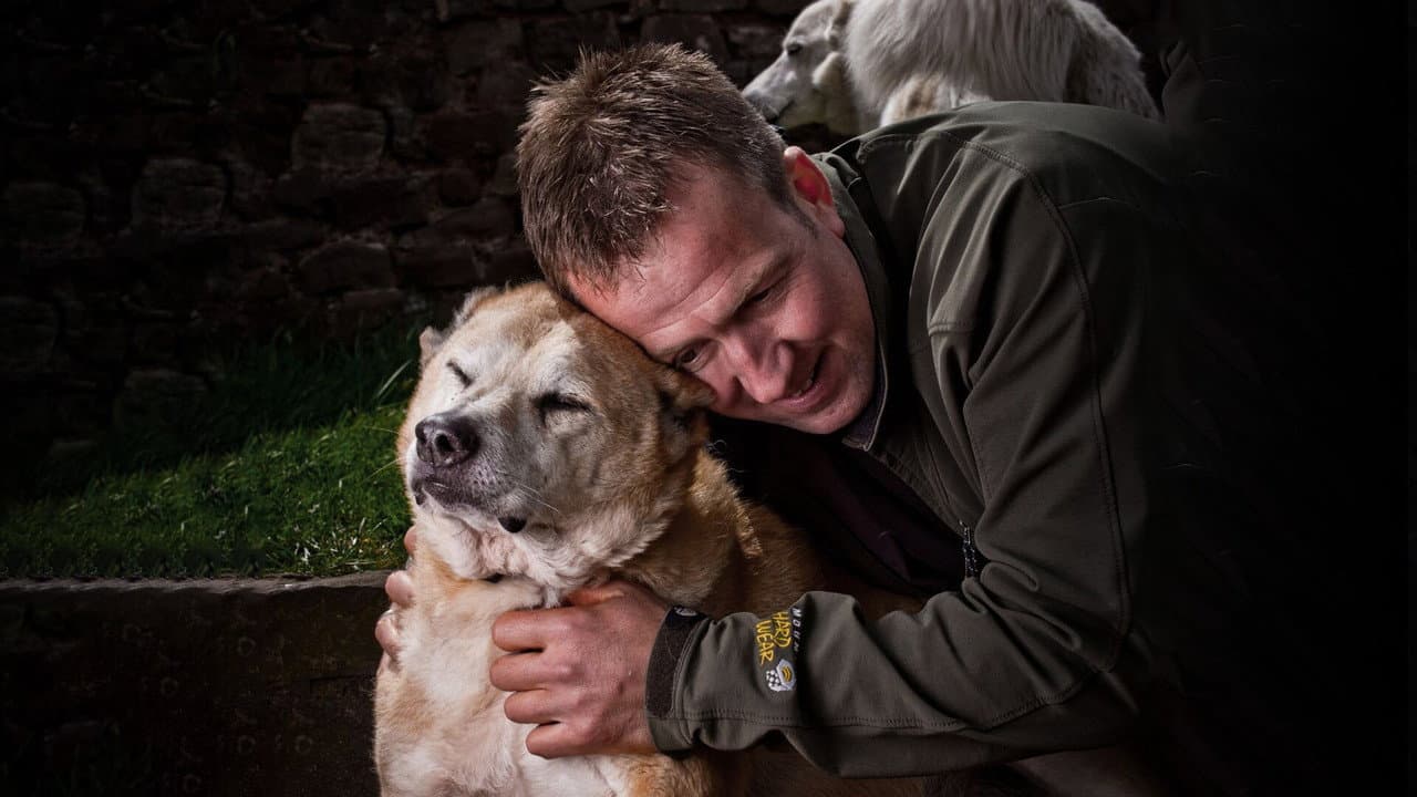 Backdrop – Animal Airlift: Escaping the Taliban
