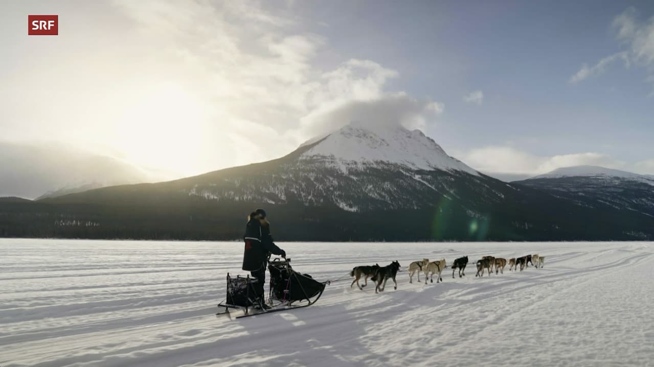Backdrop – Musher - Mit meinen Schlittenhunden durch Alaska