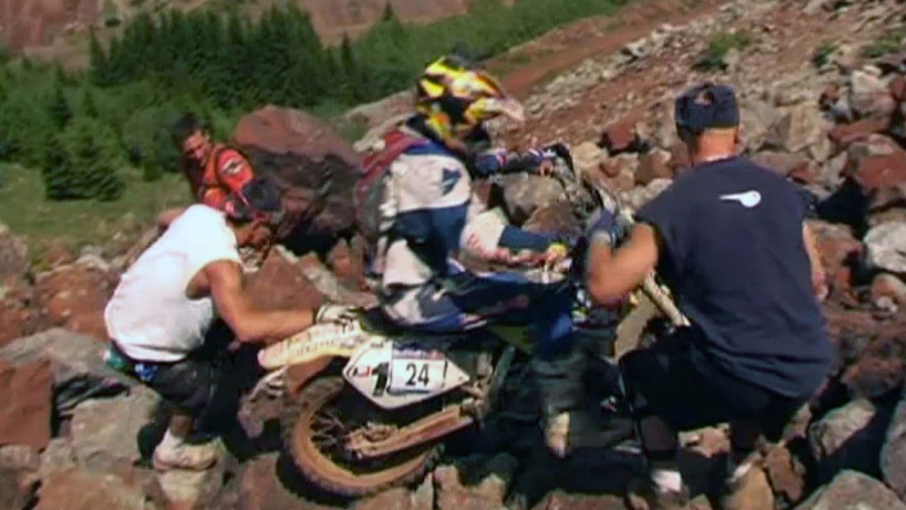 Backdrop – Nitro Circus 3