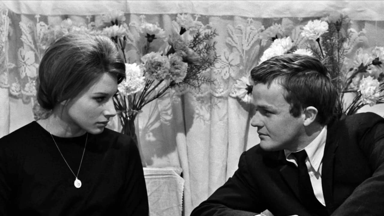 Backdrop – Mit der Faust in der Tasche