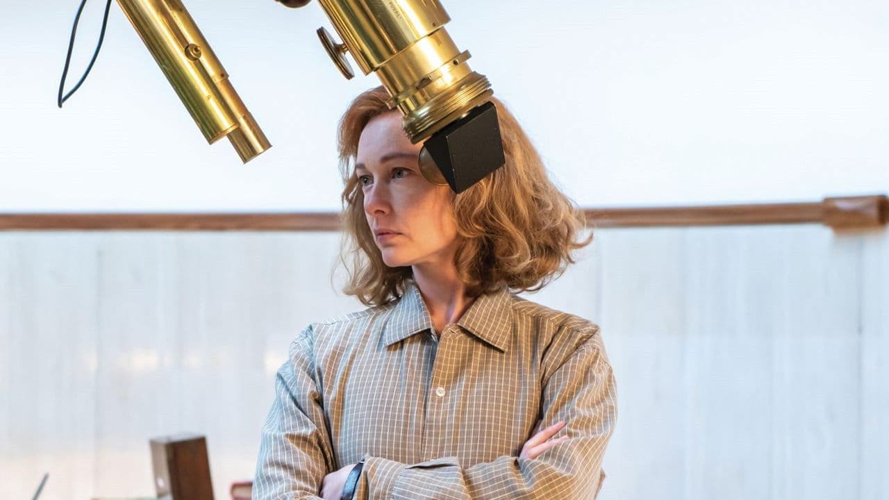 Backdrop – Margherita delle stelle