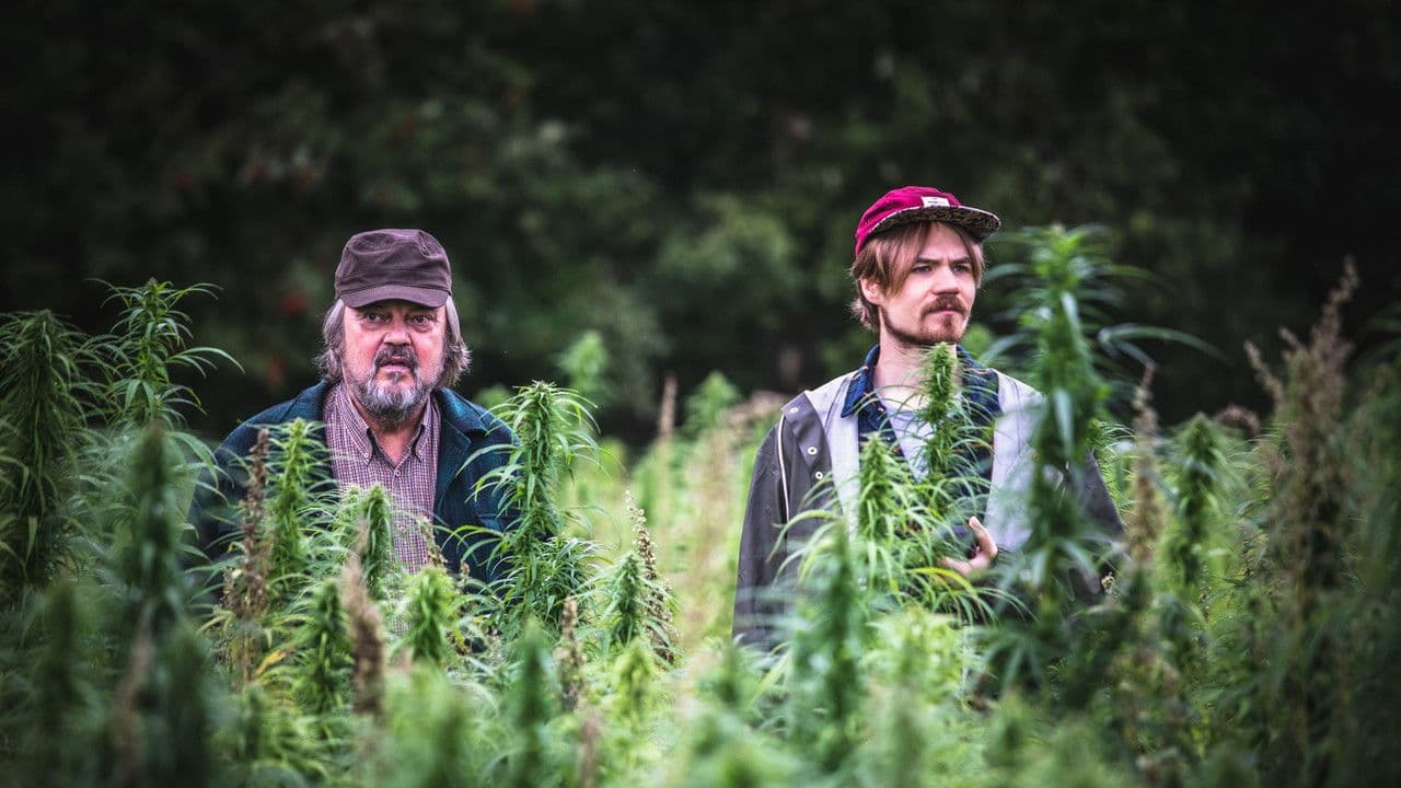 Backdrop – Pohjolan satoa