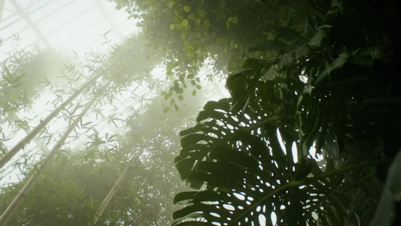 Backdrop – Paradise Lost?