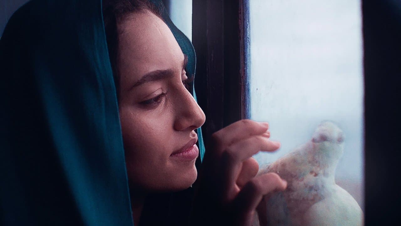 Backdrop – بلا موطن